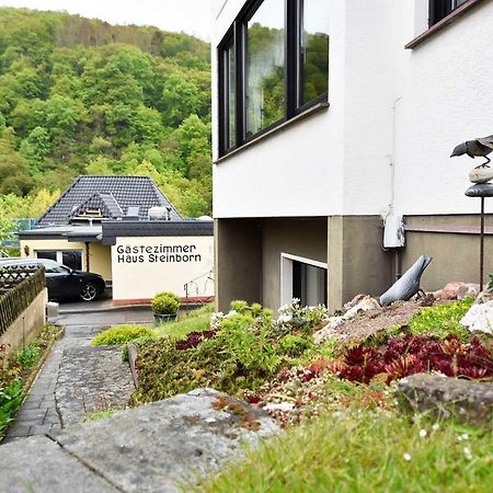Gaestehaus Steinborn Hotel Хаймбах Екстериор снимка