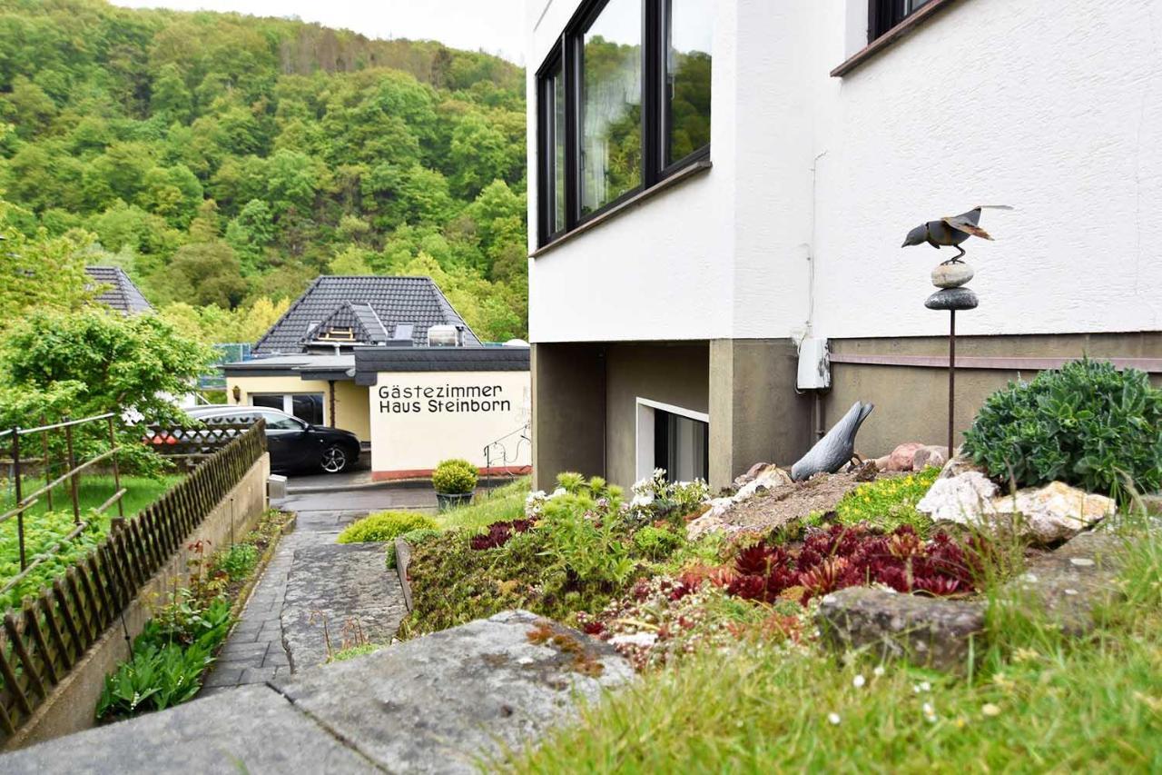 Gaestehaus Steinborn Hotel Хаймбах Екстериор снимка